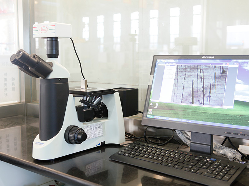 Metallographic microscope